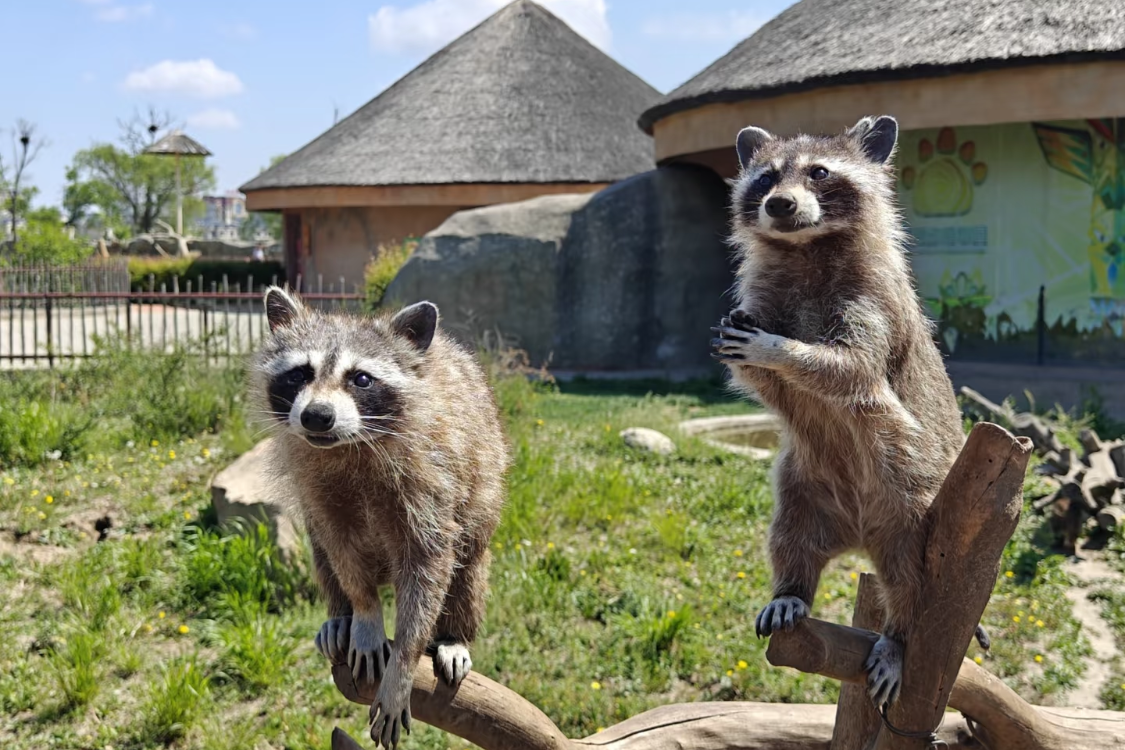 Longsha Wildlife Zoo